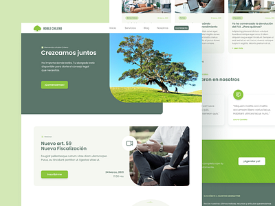 Roble Chileno Website chile chilean elementor law law site legal roble tree uidesign uiux uxdesign website wordpress