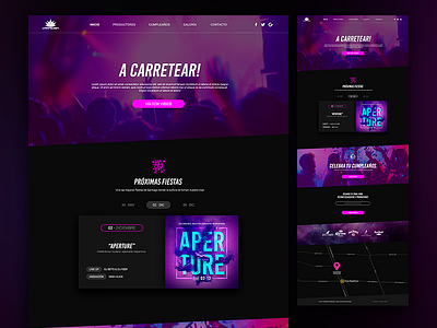 Carpediem Homepage Concept birthdays carpe club concept design web nightclub party photoshop web