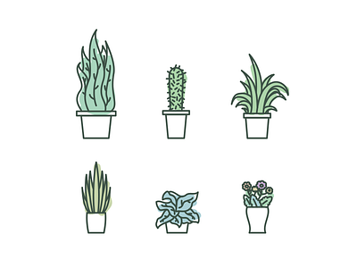 Plants cactus flat green illustration lines outline plant strokes vector vegetal