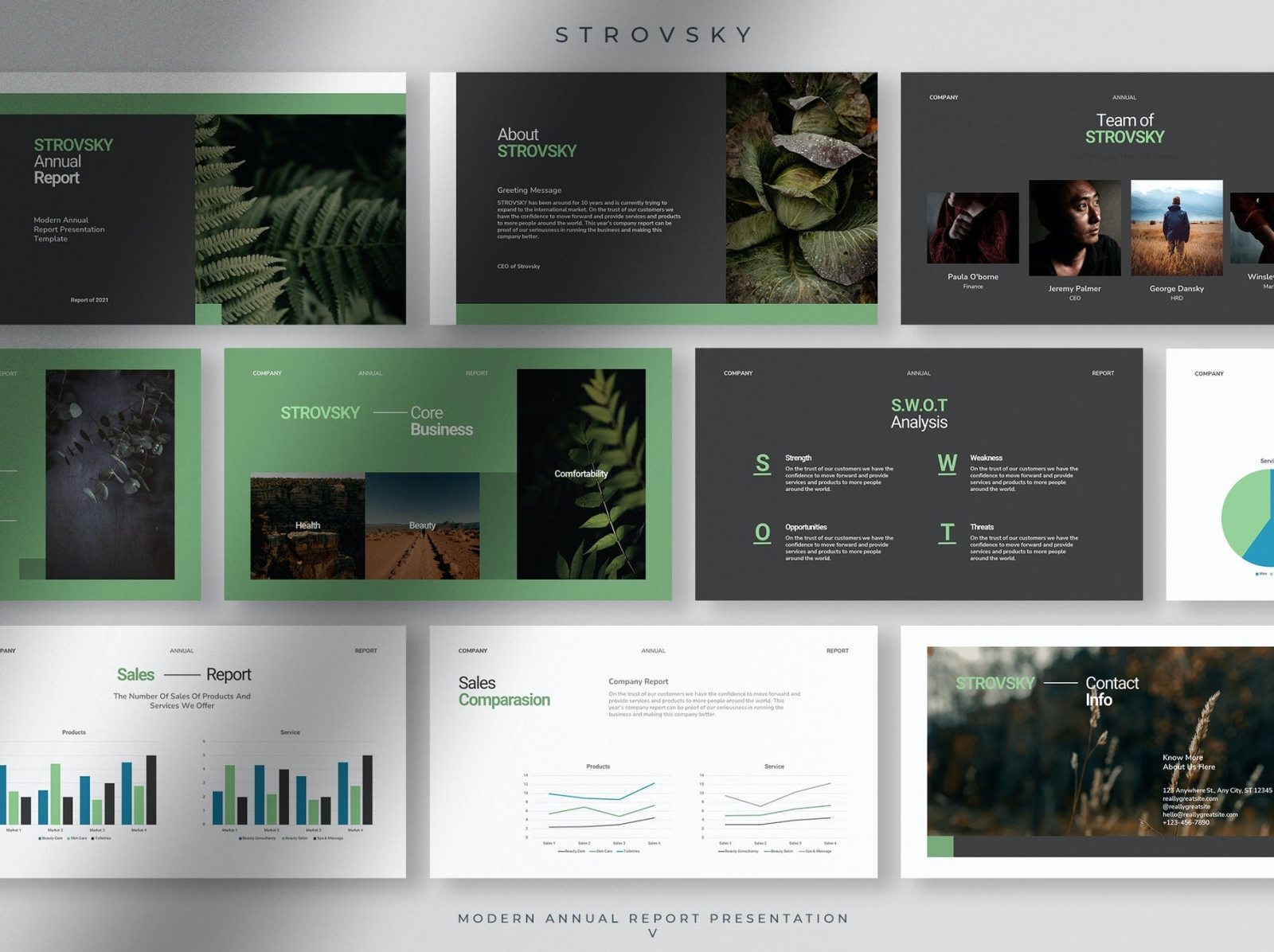 Storvsky PPT Presentation Template