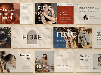 Flowe Presentation Template app branding design editorial illustration keynote multipurpose powerpoint presentation template