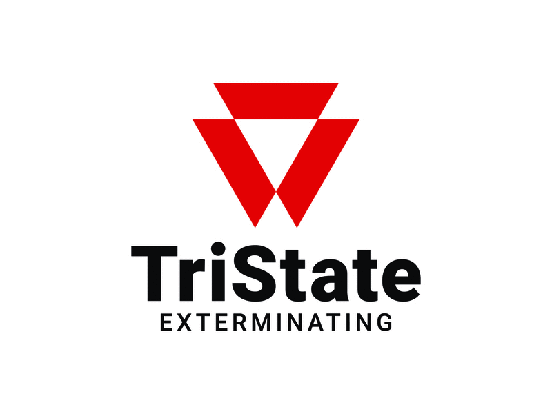 TriState Exterminating construction exterminating geometric logo logos minimalistic overlapping shapes simple triangle triangles tristate