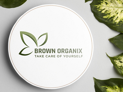 BROWN ORGANIX adobe illustrator branding graphic design illustrator logo logo design ui