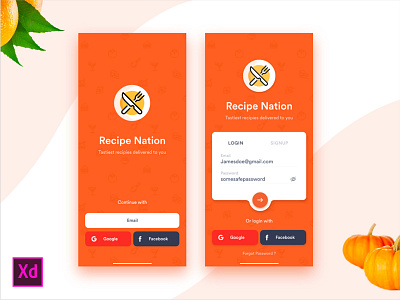 Recipe Nation App colorful cooking app delivery app food app iphone x login orange recipe app signup social media