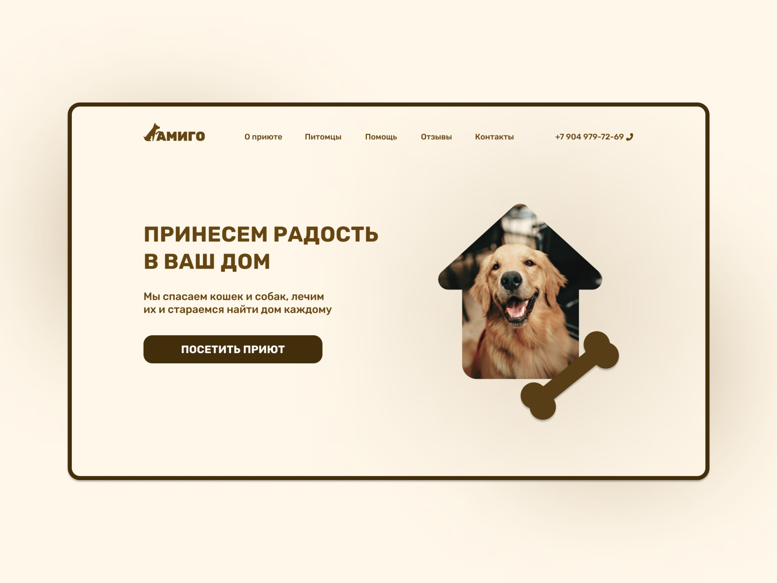 Амиго by Daniel on Dribbble