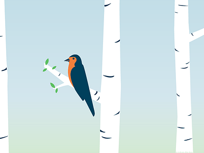 just a spring bird... birch bird illustration leaf leaves robin spring tree