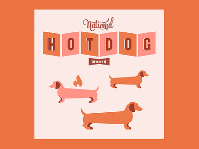 hotdog dachshund fire flame hotdog illustration july longdog national hotdog month orange type