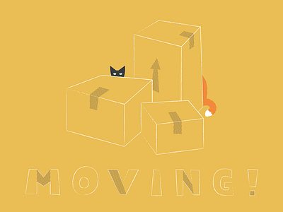 Moving... again boxes cats illustration kitones lettering marley moving shiny future stu tail