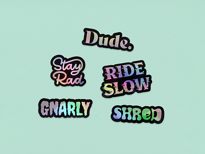 Board Slang | Holo Sticker Pack font hand lettering holographic lettering lingo script slang sticker stickers type typeface typography