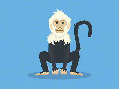 McRoberts animal art capuchin character illustration mcroberts monkey texture vector year of the monkey