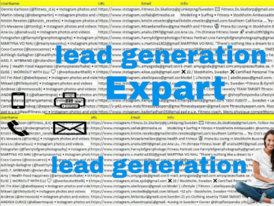 Lead Generation Expert Email Builder and Data Entry