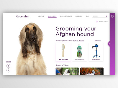 Grooming adobe xd dogs ecommerce grooming uidesign ux design webdesign