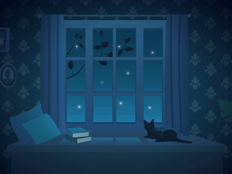 Night Window View animation illustration motion motionillustration night vector window