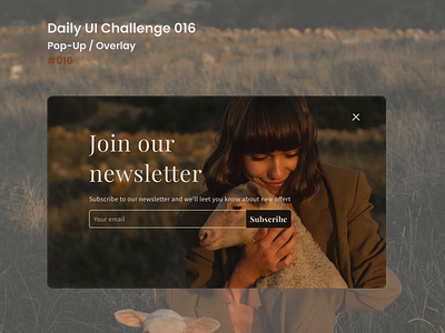 Daily UI CHALLENGE 016