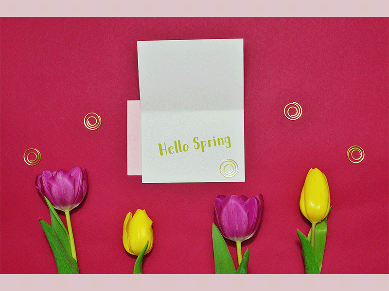 Hello Spring animation bowllick color cute debbie sajnani flowers gif miad spring stop motion tulips video
