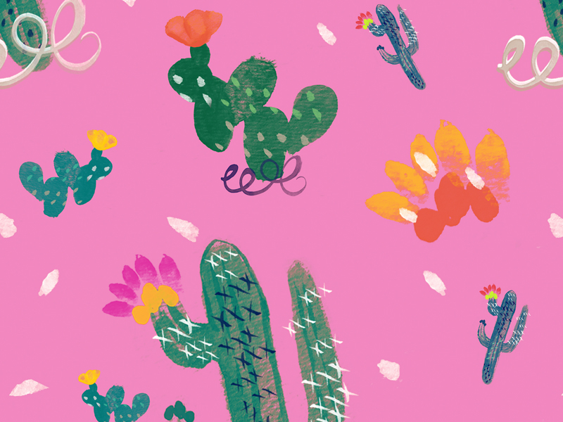 Fiesta Cacti by Debbie Sajnani on Dribbble