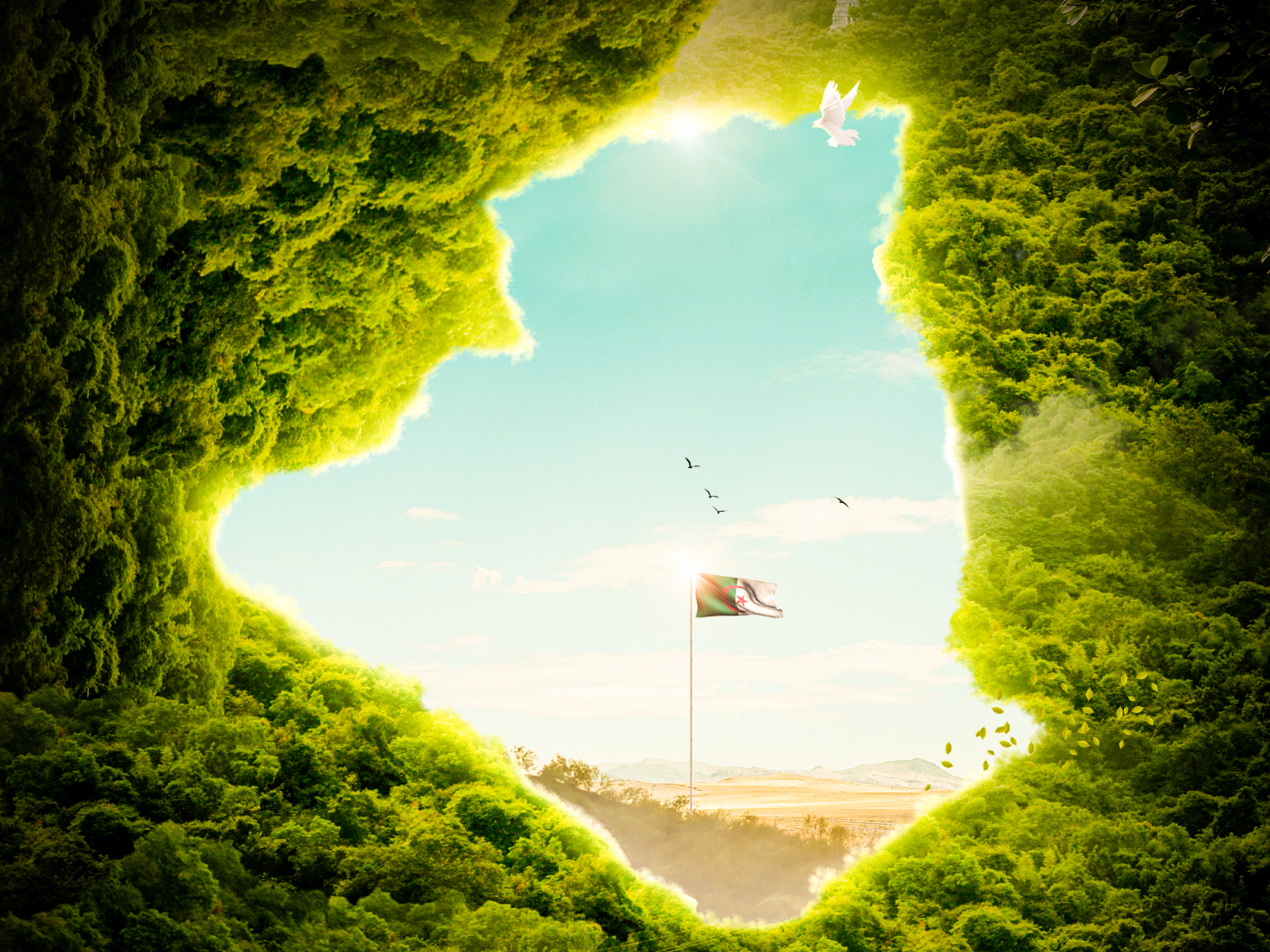 Green Algeria by ILYES on Dribbble