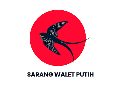 Sarang Walet Putih Logo branding design illustration vector