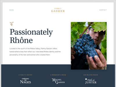 it's a grape site grapes ui website wine