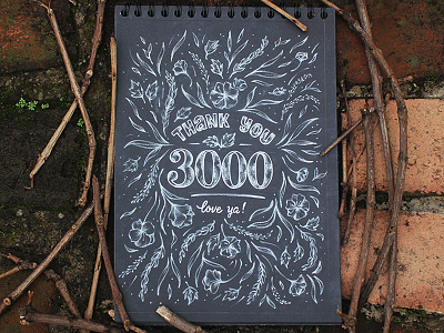 Thank you for 3000 Instagram's Followers chalk drawing flower handlettering handtype illustration leaves lettering nature white on black