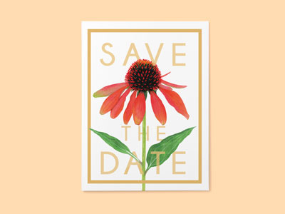 Save the date invitatioin card carddesign coneflower design flower invitation watercolour