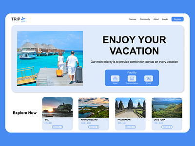 Travel Agency Website Design