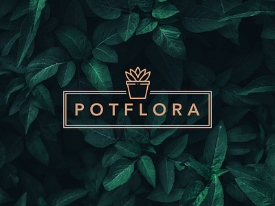 Potflora Logo branding design logo