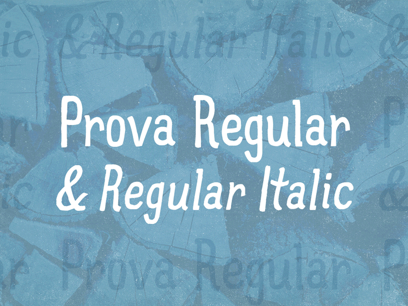 Prova Regular & Regular Italic creative market font family fonts italic lamson prova regular type