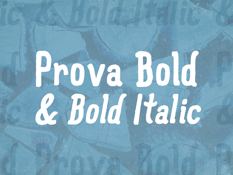 Prova Bold & Bold Italic bold bold italic creative market italic lamson prova