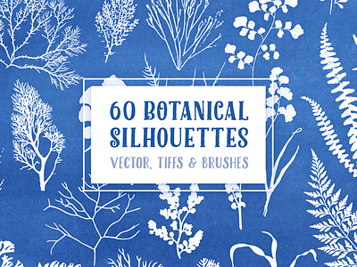 60 Botanical Silhouettes Pack 60 botanical brushes creative market elements nature raster silhouettes vectors