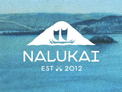 Nalukai accelerator est. 2012 hawaii logotype nalukai startup
