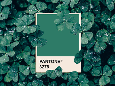 St. Patricks Day graphic design graphic art green lucky march pantone st patricks day