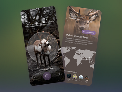 AI Animal Scanner 3d agency ai animal app branding design design team eco ecofriendly graphic design green illustration logo machine learning motion graphics movadex saveplanet ui vector