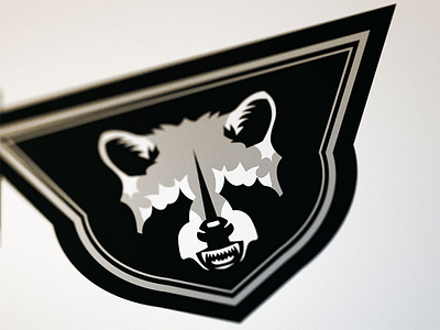 Raccoon animals branding logo raccoon sports