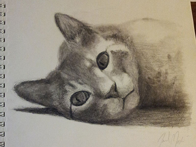 My cat Escape cat charcoal drawing escape sketch