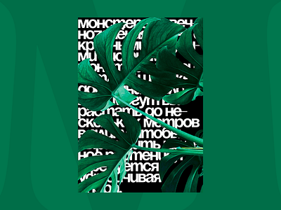 Monstera Plant — Banner / Poster