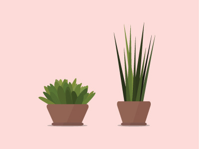 Plants