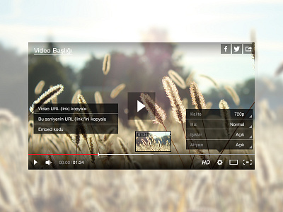 video player skin