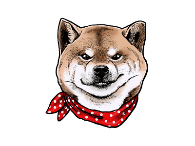 shiba inu art cat design graphic design illustration nft sticker