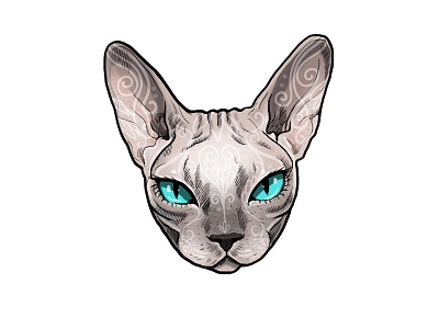 Moony art cat design graphic design illustration nft sticker
