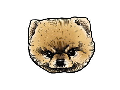 angry spitz art design graphic design illustration nft sticker