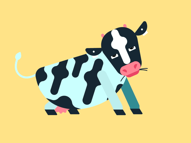 Crazy Cow 02 character animation flat design gif illustration loop