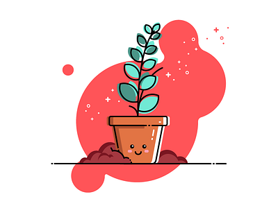 Pot Plant