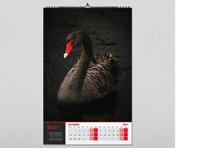 Wall Calendar 2019 11x17 calendar bab beauty calendar calendar corporate corporate calendar cover creative creative calendar office calendar planner print ready sunday vertical calendar vertical wall calendar wall wall calendar wall calendars week sunday week variation