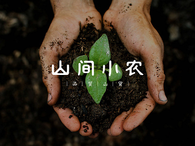 Chinese typeface branding china chinese font graphic logo soil type typeface