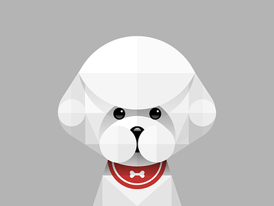 Poodle animal china dog geometry icon illustation north paper poodle teddybear ui white