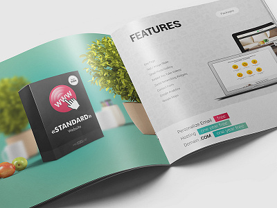 Marketing Kit (Pro Web Lab) brand book catalog marketing marketing kit print print design