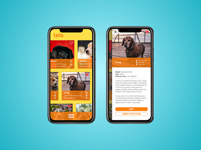 Tails: A Daily UI Project app daily daily ui dating dogs family photography fun pets ui