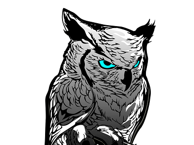 Owl Illustration 2d branding design drawing flat illustration logo potrait vector