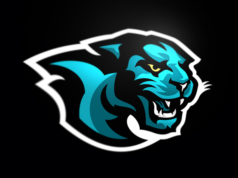 Panther Concept by Paragon Design House on Dribbble